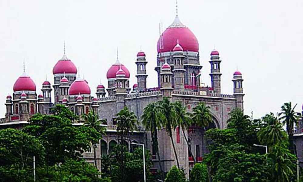 Telangana Police Oppose Bail for Accused in Minor's POCSO Case